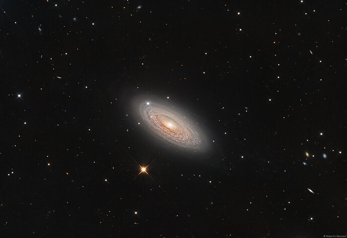 旋涡星系 NGC 2841
